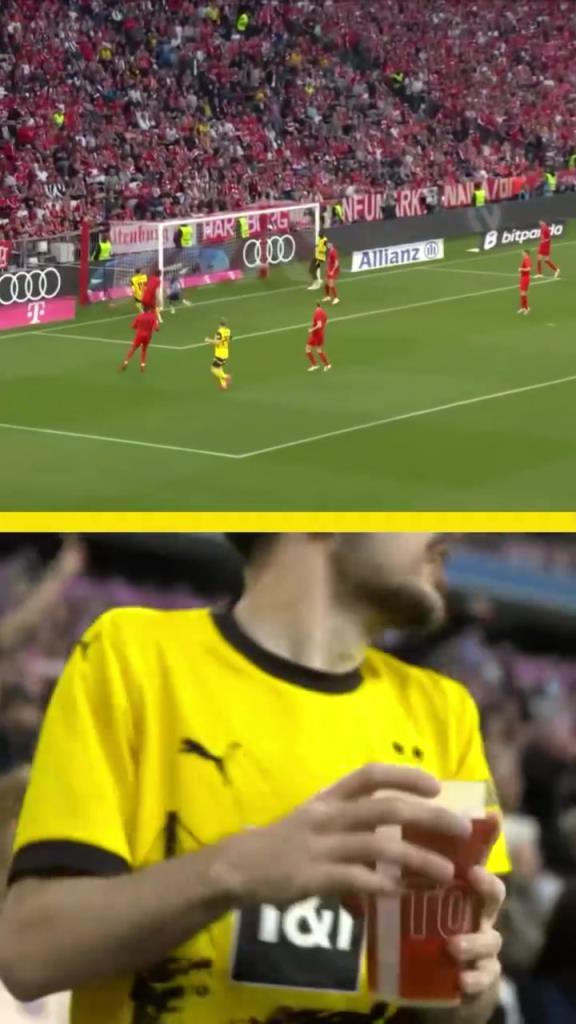 勇者無(wú)懼！這是真多特球迷！在拜仁球迷區(qū)一個(gè)人肆意慶祝！